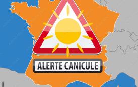 ALERTE CANICULE