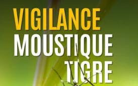 Vigilance moustique tigre