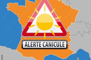 ALERTE CANICULE
